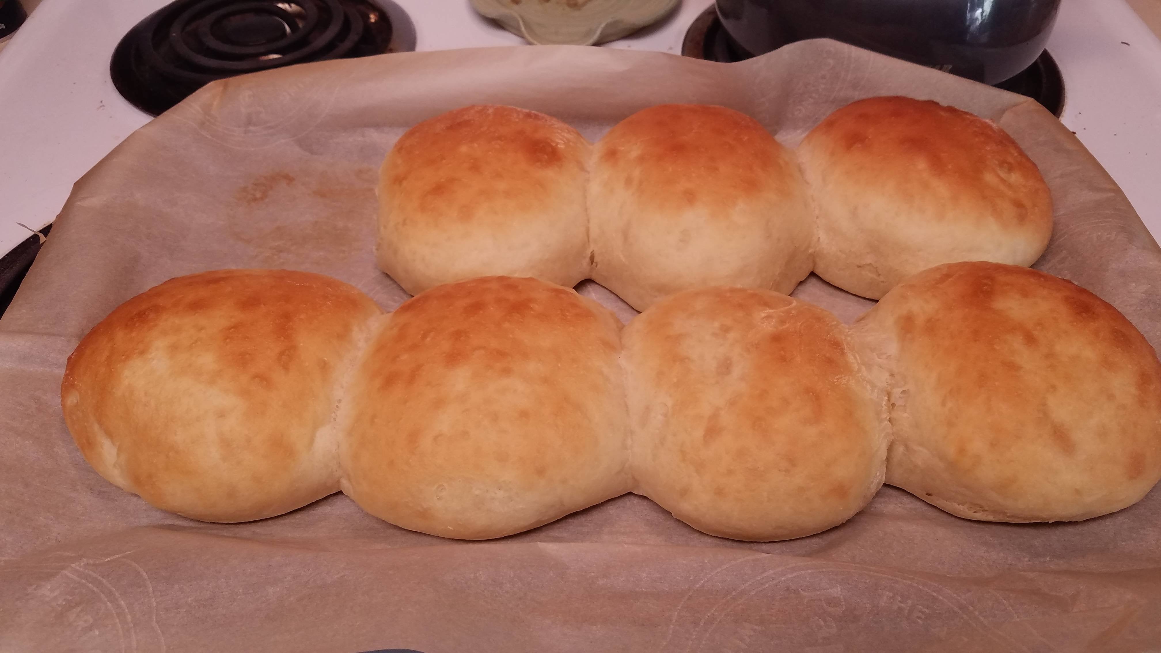 Successful Hamburger Buns Please Ignore The Missing O