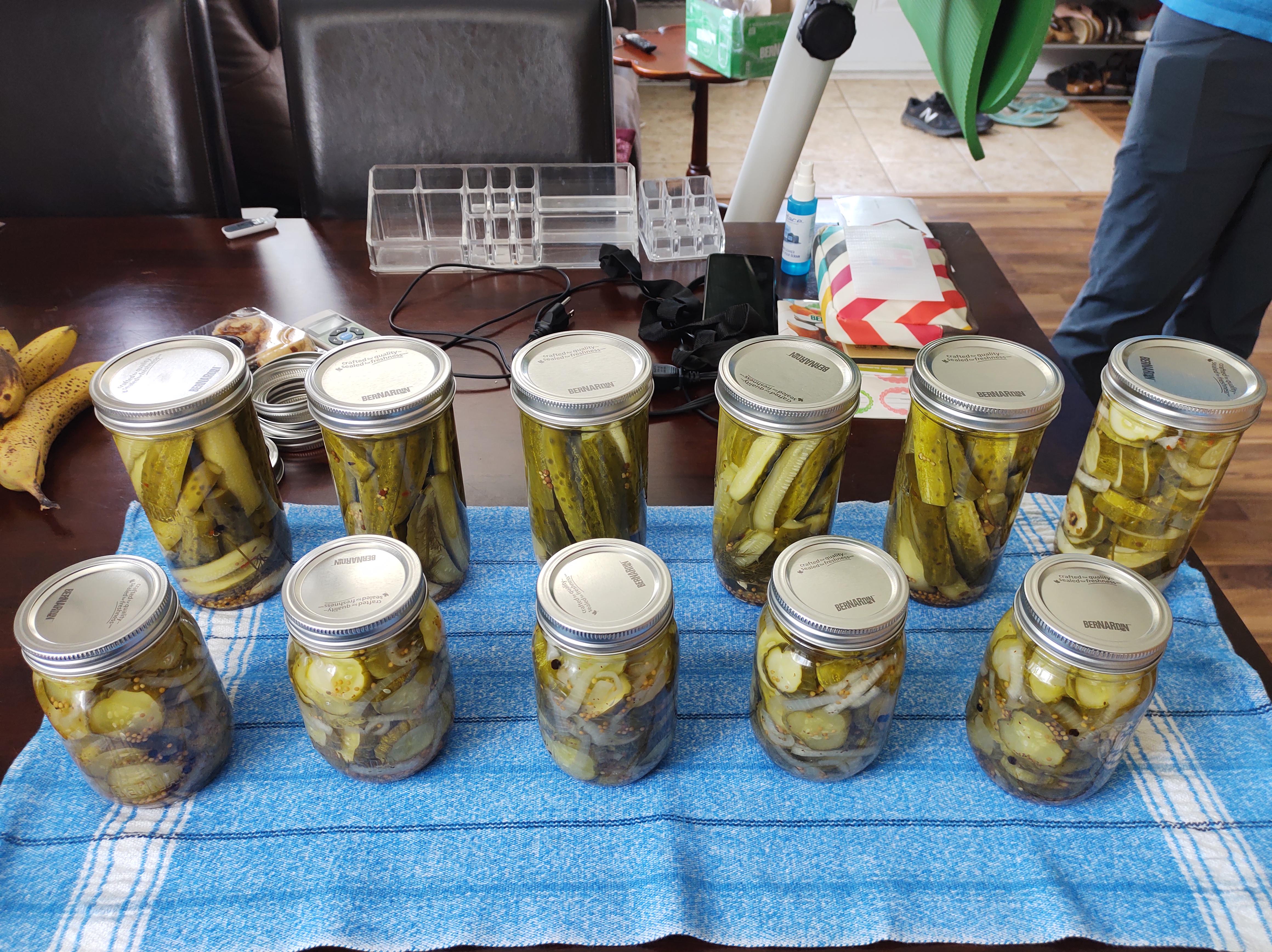 T Was A Cucumber Morning 5 X 750ml Of Garlic Dill Pickle Spears 1 Jar Of Slices And 5 Pints Of Bread And Butter Pickles Dining And Cooking