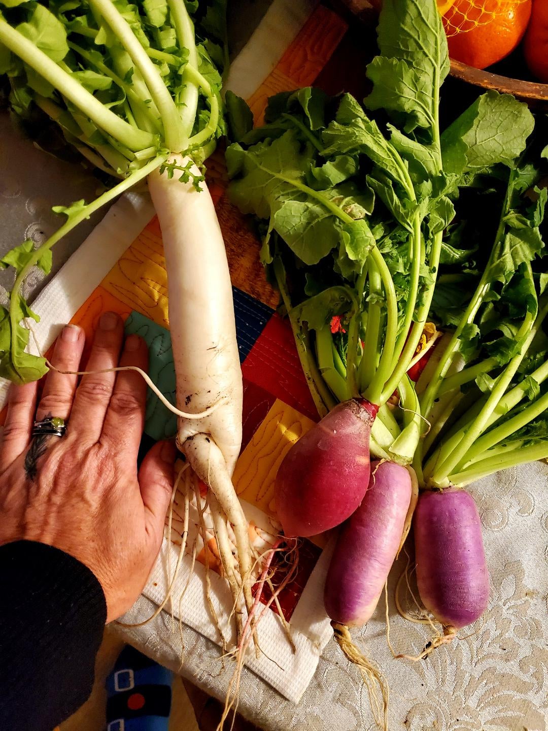 My First Daikon Radish Dining And Cooking