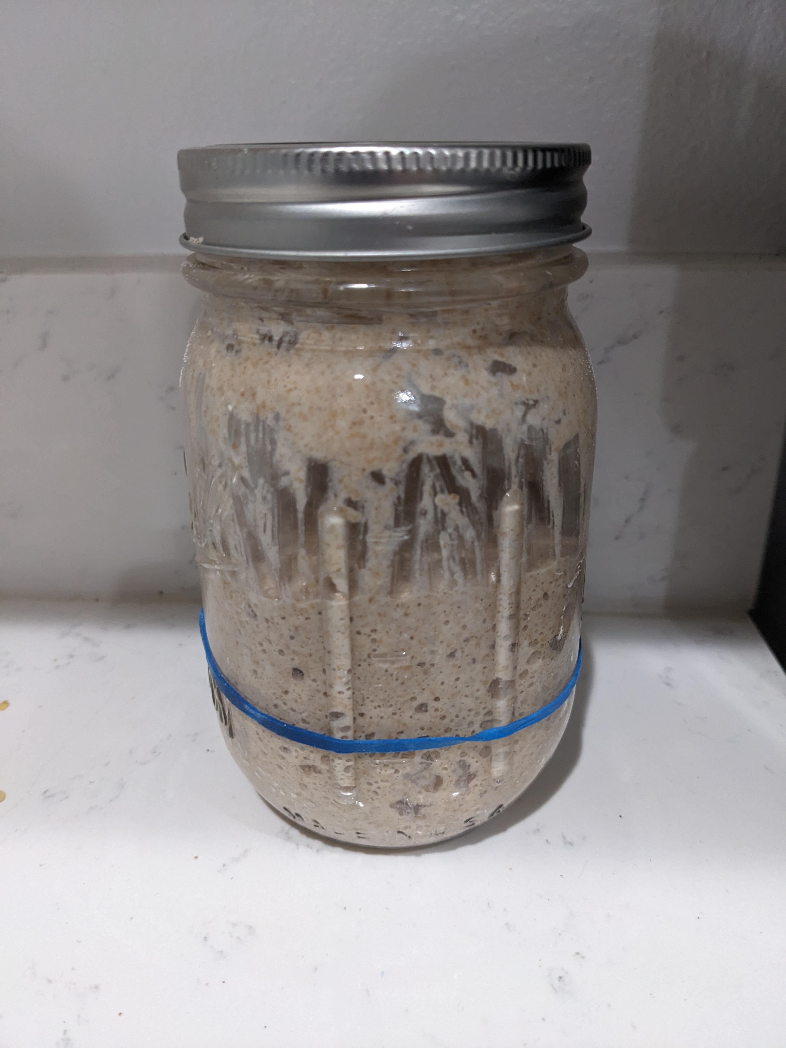 How does my sourdough starter look? - Dining and Cooking