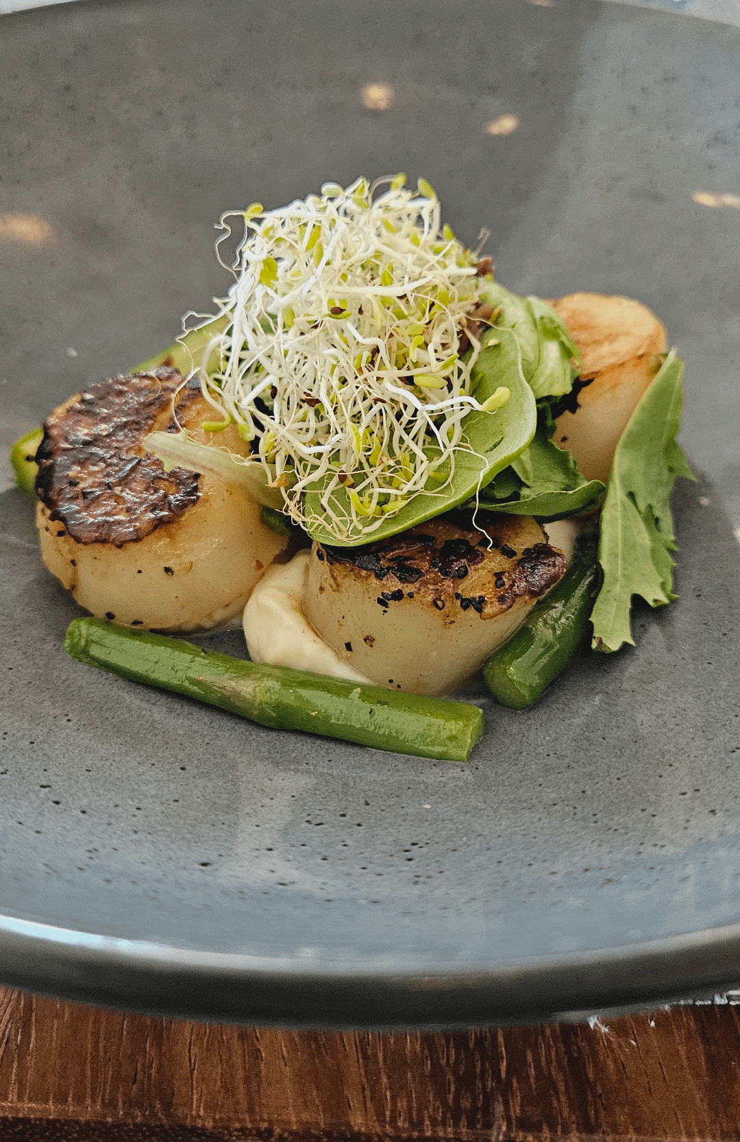 I ate some pan seared scallops - Dining and Cooking