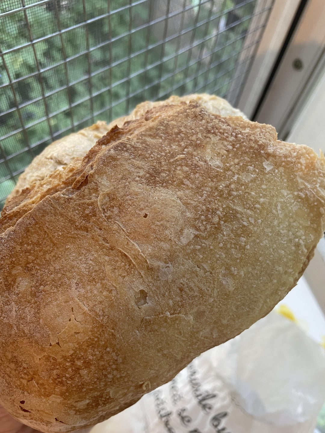 Do professional bakeries also use yeast in their sourdough bread ...